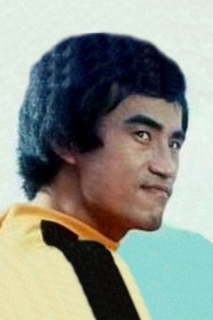 Zhang Hong Yi